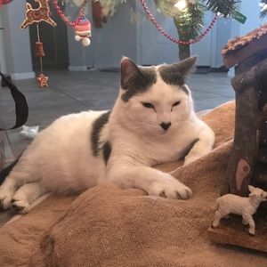 Meet your Posher, Pamela